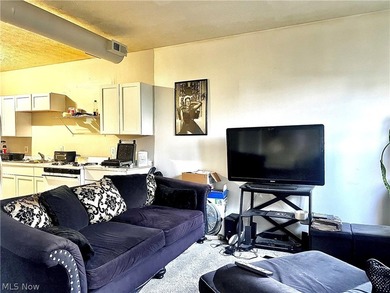 FULLY OCCUPIED Spacious mixed-use investment opportunity - photo 12