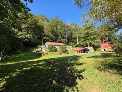 Lake Home For Sale in New Milton, West Virginia