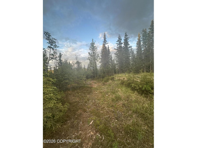 AIR B&B Dream Location!! RARE opportunity to own 4.3 acres - photo 14