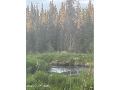AIR B&B Dream Location!! RARE opportunity to own 4.3 acres - photo 16