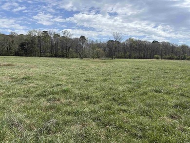 Welcome to the Sites Cattle ranch in Sheridan, AR, spans 92.56 - photo 20
