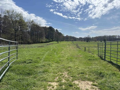 Welcome to the Sites Cattle ranch in Sheridan, AR, spans 92.56 - photo 23