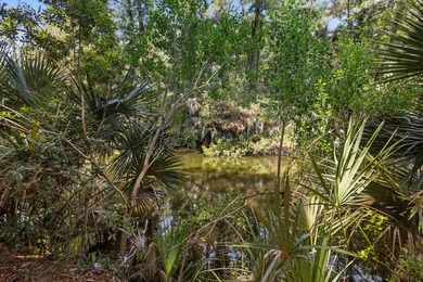Updated lagoon-front home on one and a half lots in a quiet - photo 44