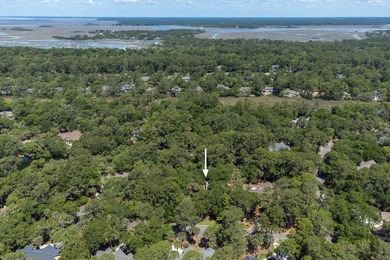 Updated lagoon-front home on one and a half lots in a quiet - photo 45