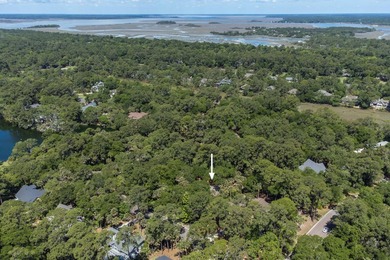 Updated lagoon-front home on one and a half lots in a quiet - photo 46
