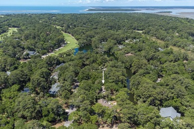 Updated lagoon-front home on one and a half lots in a quiet - photo 47