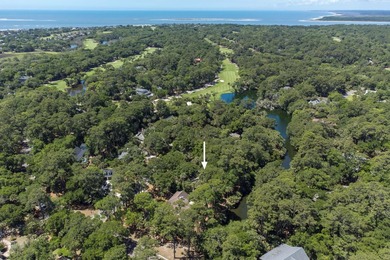 Updated lagoon-front home on one and a half lots in a quiet - photo 48