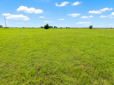 2+ acre waterfront homesite on Richland Chambers Lake - No HOA - photo 24