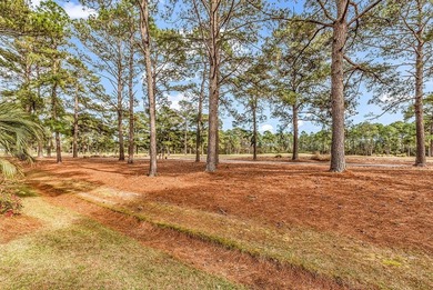 **AN EXCEPTIONAL OPPORTUNITY IN THE PRESTIGIOUS 55+ COMMUNITY OF - photo 60