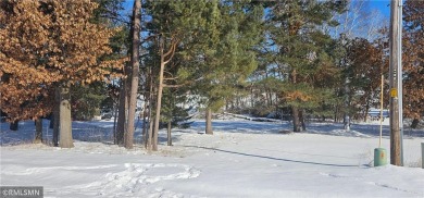 Lake Lot For Sale in Stanford Twp, Minnesota