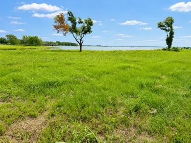2+ acre waterfront homesite on Richland Chambers Lake - No HOA - photo 19