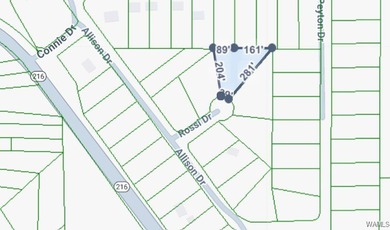 Ski Lake Lot For Sale in Mccalla Alabama