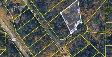 Great opportunity to own a .50 acre lot. Rossi Drive access and - photo 2