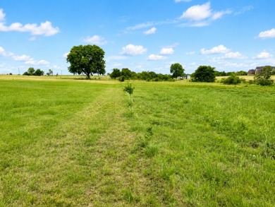 2+ acre waterfront homesite on Richland Chambers Lake - No HOA - photo 21
