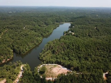 Sawtooth Branch is a private gated community on 240 acres in the - photo 11