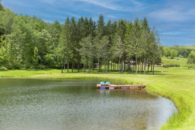 Perched high with breathtaking long-range views, this immaculate - photo 13