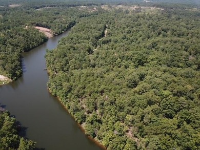 Sawtooth Branch is a private gated community on 240 acres in the - photo 14