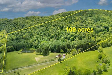 Perched high with breathtaking long-range views, this immaculate - photo 18