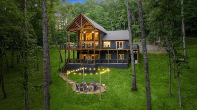 Lake Home For Sale in Blue Ridge, Georgia