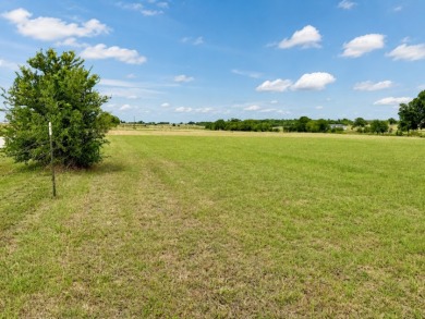 2+ acre waterfront homesite on Richland Chambers Lake - No HOA - photo 27