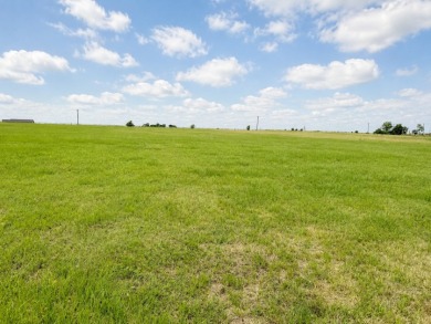 2+ acre waterfront homesite on Richland Chambers Lake - No HOA - photo 22
