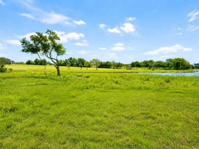 2+ acre waterfront homesite on Richland Chambers Lake - No HOA - photo 17