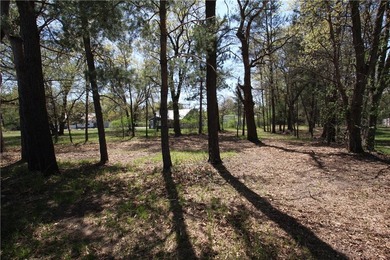 Awesome lot, country life on the edge of town. Close to the city - photo 3