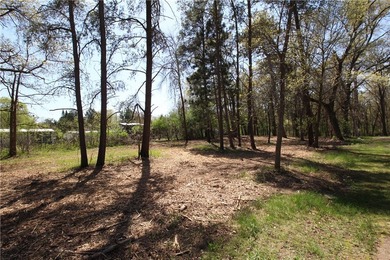 Awesome lot, country life on the edge of town. Close to the city - photo 4