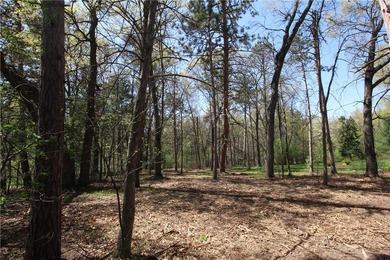 Awesome lot, country life on the edge of town. Close to the city - photo 6