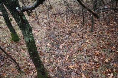 Awesome lot, country life on the edge of town. Close to the city - photo 9