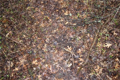 Awesome lot, country life on the edge of town. Close to the city - photo 10