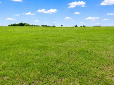 2+ acre waterfront homesite on Richland Chambers Lake - No HOA - photo 26