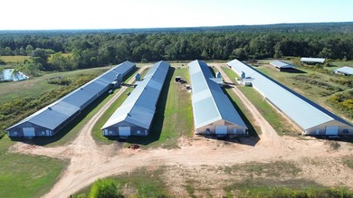 A 4- HOUSE BROILER FARM! THIS BEAUTIFUL FARM FEATURES 2 HOUSES - photo 11