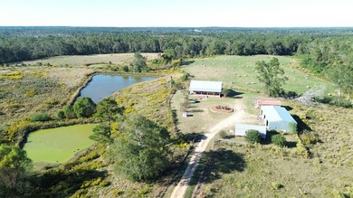 A 4- HOUSE BROILER FARM! THIS BEAUTIFUL FARM FEATURES 2 HOUSES - photo 13