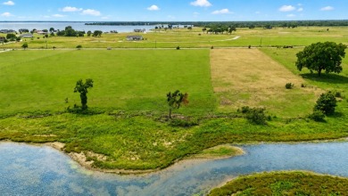 2+ acre waterfront homesite on Richland Chambers Lake - No HOA - photo 5