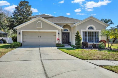 Lake Home For Sale in Land O Lakes, Florida