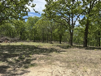 Here is a good laying 40 acre tract in Camden County not far - photo 2