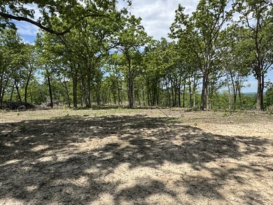 Here is a good laying 40 acre tract in Camden County not far - photo 3