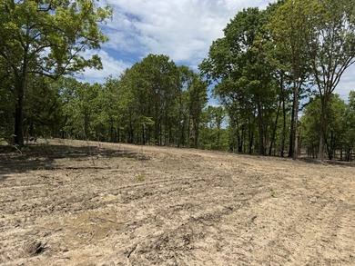 Here is a good laying 40 acre tract in Camden County not far - photo 4