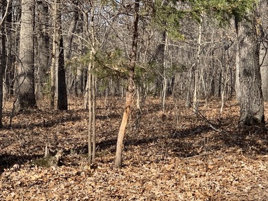 Here is a good laying 40 acre tract in Camden County not far - photo 5