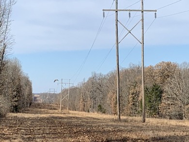 Here is a good laying 40 acre tract in Camden County not far - photo 7