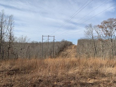 Here is a good laying 40 acre tract in Camden County not far - photo 8