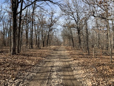 Here is a good laying 40 acre tract in Camden County not far - photo 9