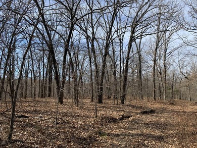 Here is a good laying 40 acre tract in Camden County not far - photo 10