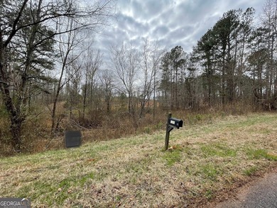 (private lake, pond, coastal) Acreage For Sale in Woodbury Georgia