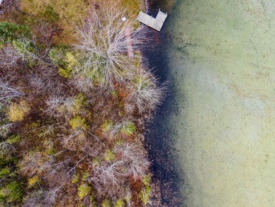 Planning to build a cozy get-away with a view? We've gathered - photo 13