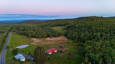 Lake Home For Sale in Woodbourne, New York