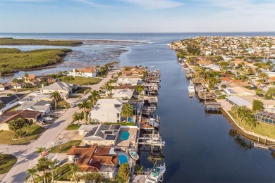 This beautifully updated Gulf Harbors waterfront home delivers
