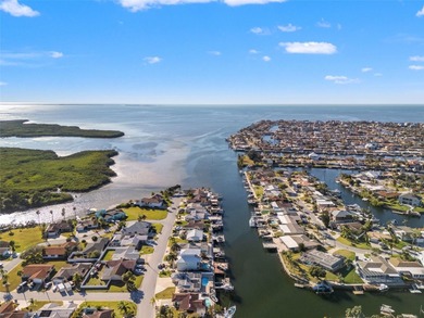 This beautifully updated Gulf Harbors waterfront home delivers