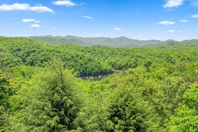 Perched within the sought-after gated community of Fontana Lake - photo 48